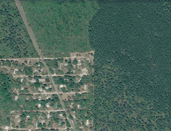 Pre-foreclosure Listing in NE 154TH PL FORT MC COY, FL 32134