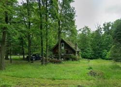Pre-foreclosure Listing in HORSE SHOE BEND RD ACME, PA 15610