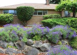 Pre-foreclosure in  7th Pl S Seattle, WA 98198