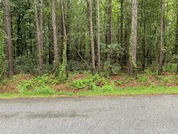 Pre-foreclosure in  Old Jacksonboro Rd Adams Run, SC 29426