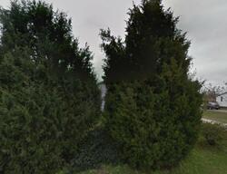 Pre-foreclosure in  Mccaskey Rd Williamston, NC 27892