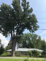  Hough Rd, Massena NY