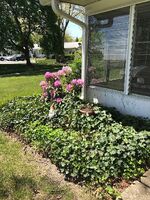 Pre-foreclosure Listing in Malvern Ct LAKEWOOD, NJ 08701
