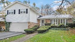 Pre-foreclosure in  Hollydale Dr Homewood, IL 60430