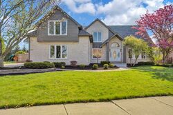 Pre-foreclosure in  Hummingbird Dr Tinley Park, IL 60487