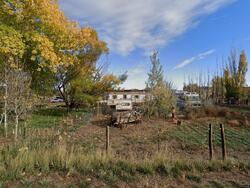 Pre-foreclosure in  S Rd Mack, CO 81525