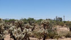  E Garigans Gulch, Vail AZ