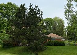 Pre-foreclosure in  Arizona Ct Rochester, MI 48309