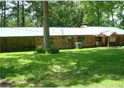Pre-foreclosure in  Hood Rd Pollock, LA 71467