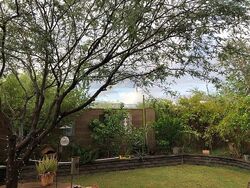  N 176th Ln, Surprise AZ