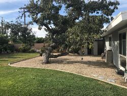 Pre-foreclosure in  Amy Ave Garden Grove, CA 92841