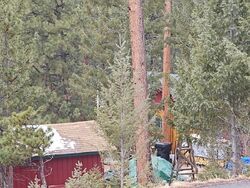 Pre-foreclosure in  S Columbine Rd Evergreen, CO 80439