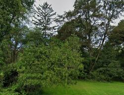 Pre-foreclosure in  Cornwall Ave Youngstown, OH 44505