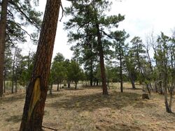 Pre-foreclosure in  Durango Dr Happy Jack, AZ 86024