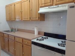 Pre-foreclosure in  Steinway St Astoria, NY 11103