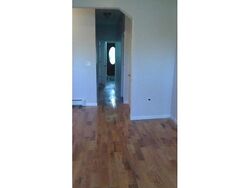 Pre-foreclosure in  Hendrix St Brooklyn, NY 11207
