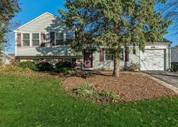 Pre-foreclosure in  LIVINGSTON DR New Lenox, IL 60451