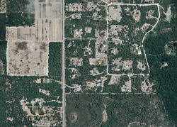 Pre-foreclosure in  Sugar Pine Loop Lake Wales, FL 33898