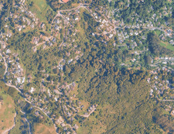 Pre-foreclosure in  Park Way Mill Valley, CA 94941