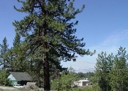  Arriba Ave, Portola CA
