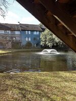 Pre-foreclosure in  Shadow Lake Cir Mount Pleasant, SC 29464