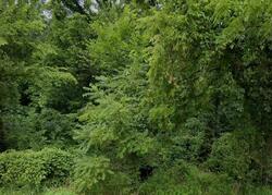 Pre-foreclosure in  Bradley Rd Gregory, MI 48137