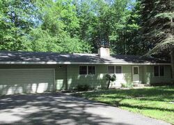 Pre-foreclosure in  Central Park Dr Grawn, MI 49637