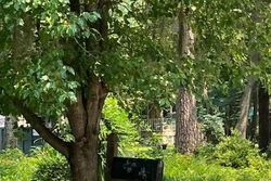  River Bend Rd, Richmond Hill GA