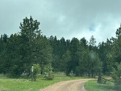 Pre-foreclosure in  Apache Trl Florissant, CO 80816