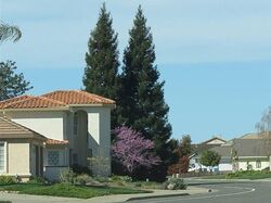  Bradley Estates Dr, Yuba City CA