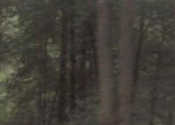  N Highway 101, Willits CA