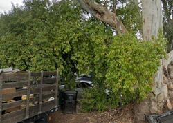 Pre-foreclosure in  Clinton Rd Sacramento, CA 95825