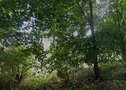 Pre-foreclosure in  Schlei Rd Menomonee Falls, WI 53051