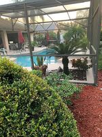  Abingdon Chas, Orlando FL