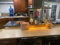 Pre-foreclosure in  Electra Ave North Port, FL 34287