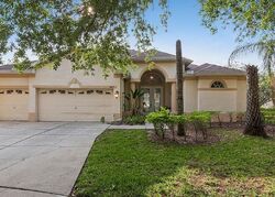 Pre-foreclosure in  Blue Stone Ct Valrico, FL 33594