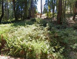 Pre-foreclosure in  Birch Rd Willits, CA 95490