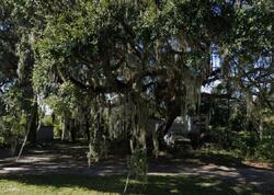  Ne 219th Ter, Melrose FL