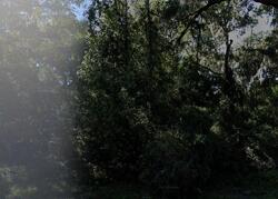  Ne 219th Ter, Melrose FL