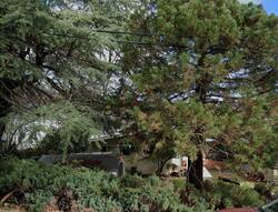 Pre-foreclosure in  Calaveras Way Sonora, CA 95370