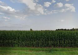 Pre-foreclosure in  Sugar Creek Rd Elkhorn, WI 53121