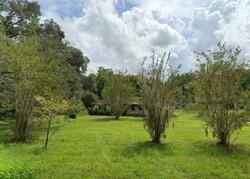  Ne 35th St, Williston FL