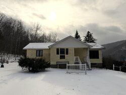 Pre-foreclosure in  Dexter Hollow Rd Port Allegany, PA 16743
