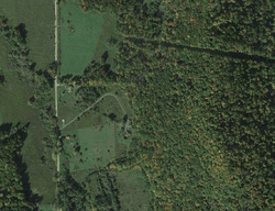  Dexter Hollow Rd, Port Allegany PA