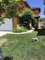 Pre-foreclosure in  Altamira Dr Chino Hills, CA 91709