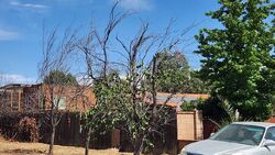 Pre-foreclosure in  Live Oak Ave Beaumont, CA 92223