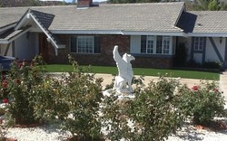 Pre-foreclosure in  Red Rover Mine Rd Acton, CA 93510