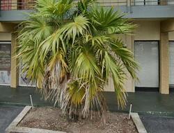 Pre-foreclosure in  N STATE ROAD 7 Fort Lauderdale, FL 33313