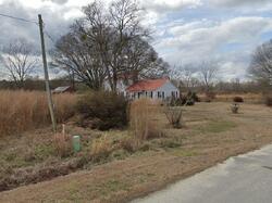  Giddeons Pond Rd, Willard NC