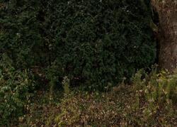  Milwaukee St, Delafield WI